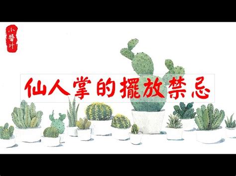 陽台放仙人掌|後陽台種仙人掌好處